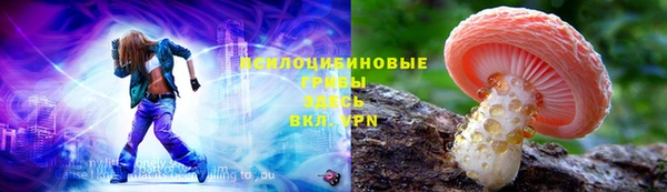 соль ск Богородицк