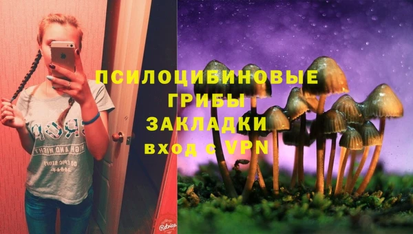 каннабис Богданович