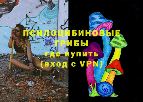 прущие грибы Богородск