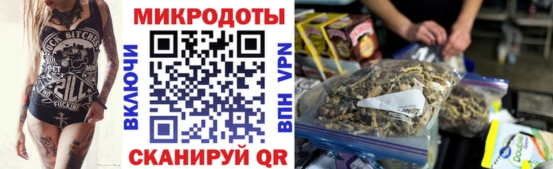 Псилоцибиновые грибы мицелий Кохма